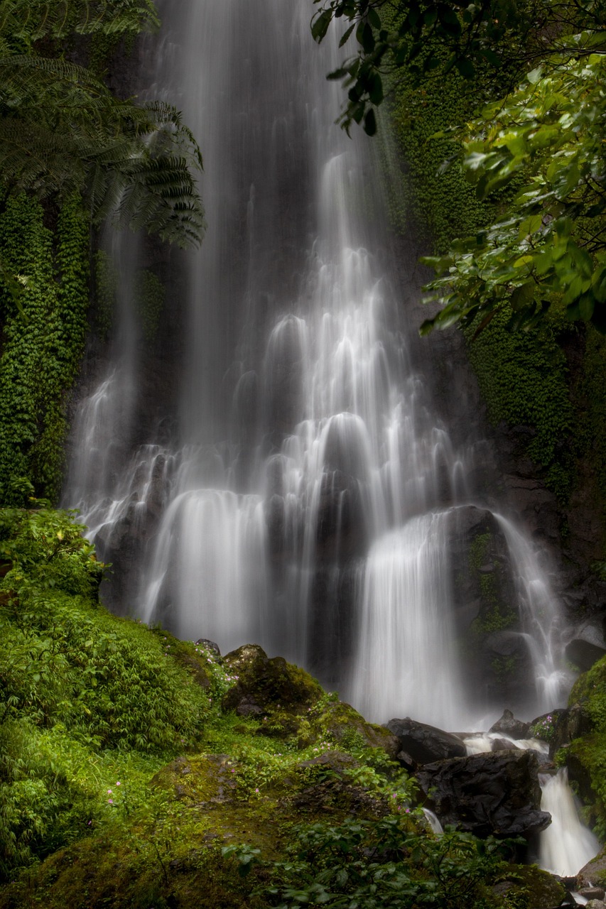 waterfall, water, tree, moss, scenery, nature, natural